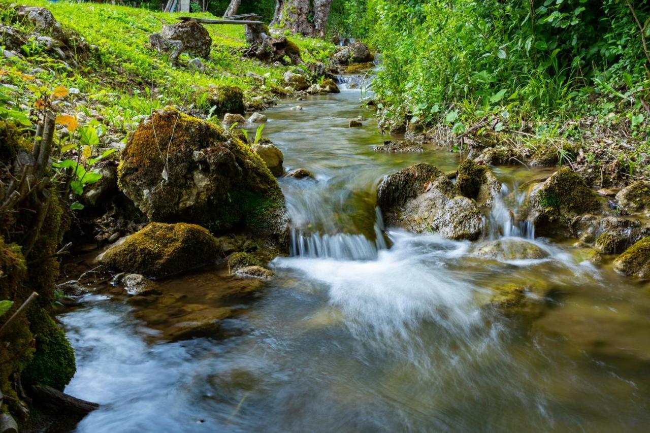 Kuca U Sumi - Forrest House Near Una National Park Bihać エクステリア 写真